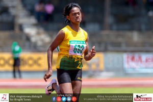 12045386_10154299774059251_2084211614072456778_o